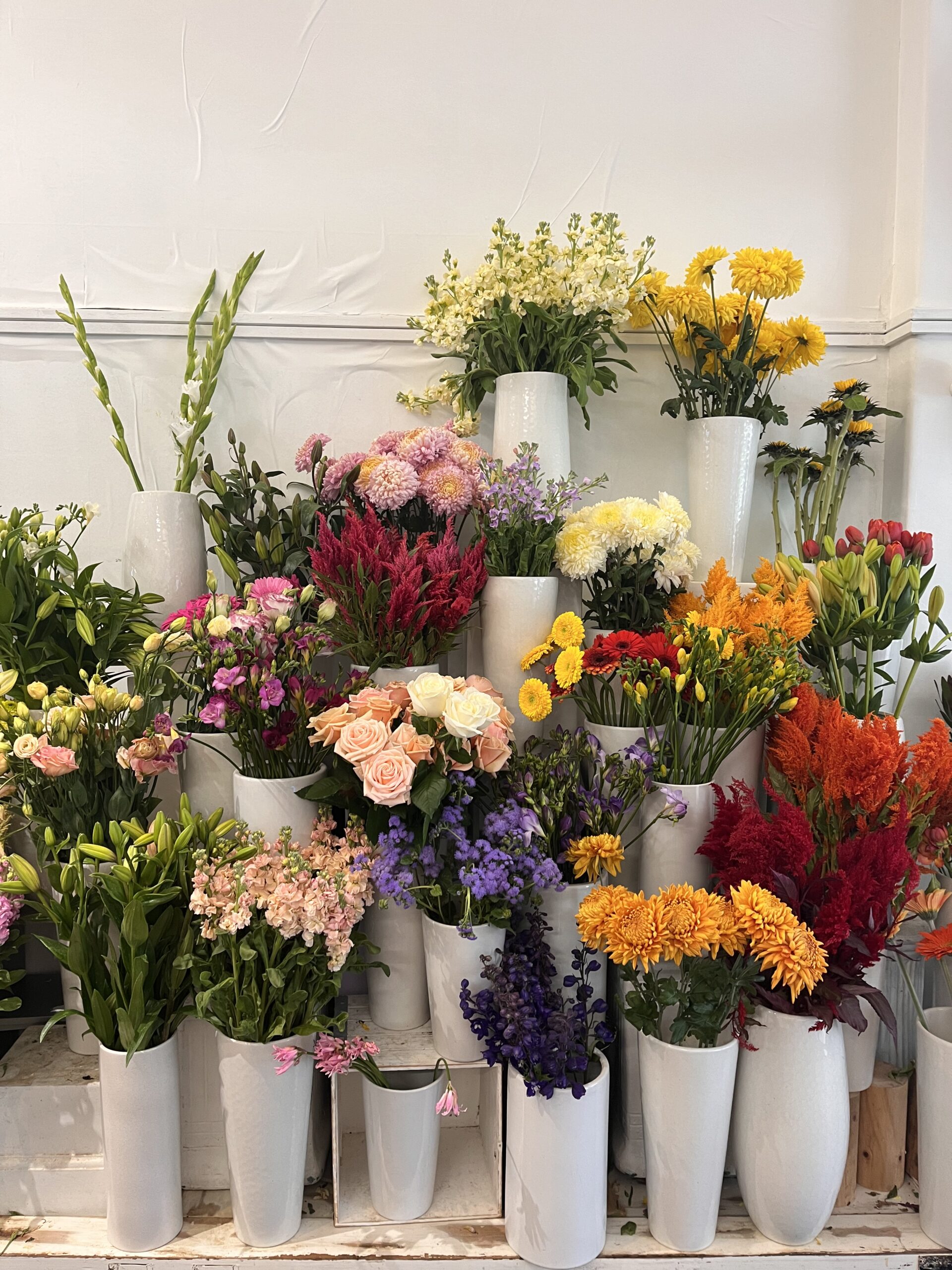 Creative Space Available to Share